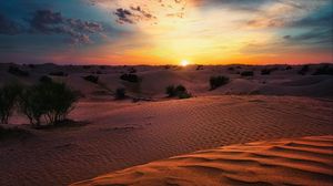 Preview wallpaper desert, sunset, sand, hills, bushes
