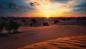 Preview wallpaper desert, sunset, sand, hills, bushes