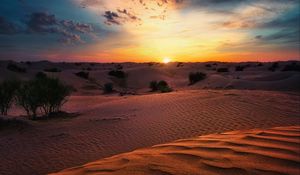 Preview wallpaper desert, sunset, sand, hills, bushes