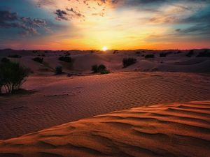 Preview wallpaper desert, sunset, sand, hills, bushes