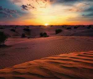 Preview wallpaper desert, sunset, sand, hills, bushes