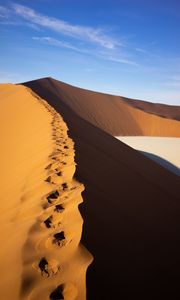 Preview wallpaper desert, trace, dunes