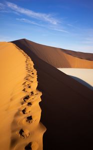 Preview wallpaper desert, trace, dunes