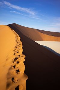 Preview wallpaper desert, trace, dunes