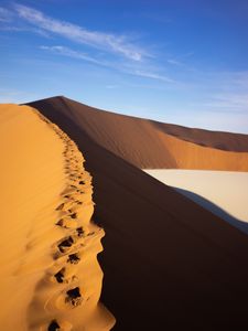 Preview wallpaper desert, trace, dunes