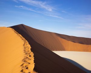 Preview wallpaper desert, trace, dunes