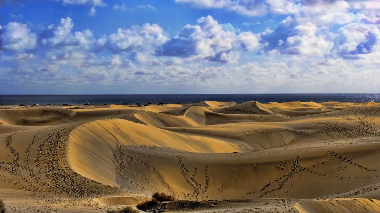 Wallpaper desert, traces, sand, sky, clouds