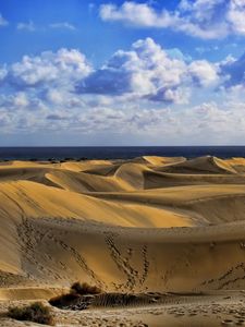 Preview wallpaper desert, traces, sand, sky, clouds