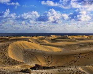 Preview wallpaper desert, traces, sand, sky, clouds