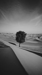 Preview wallpaper desert, tree, dunes, sand, lonely, bw