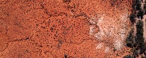Preview wallpaper desert, trees, aerial view, brown