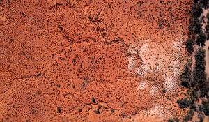 Preview wallpaper desert, trees, aerial view, brown