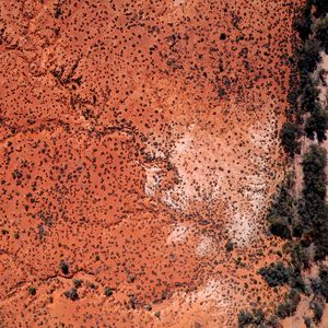 Preview wallpaper desert, trees, aerial view, brown
