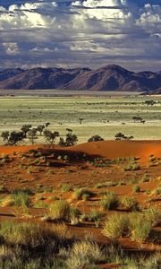 Preview wallpaper desert, trees, sand, plants, mountains