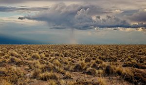 Preview wallpaper desert, vegetation, clouds, before a rain