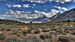 Preview wallpaper desert, vegetation, mountains, clouds