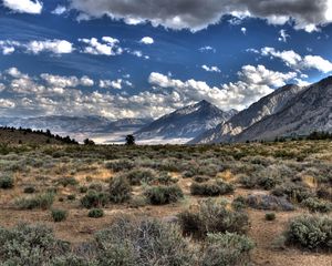 Preview wallpaper desert, vegetation, mountains, clouds