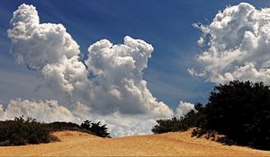 Preview wallpaper desert, vegetation, sky, clouds