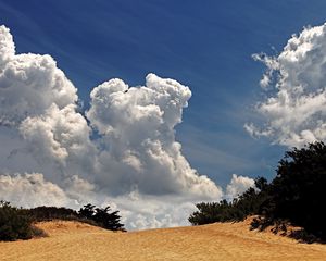 Preview wallpaper desert, vegetation, sky, clouds