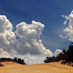 Preview wallpaper desert, vegetation, sky, clouds
