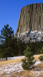 Preview wallpaper devils tower national monument, wyoming, mountain, trees