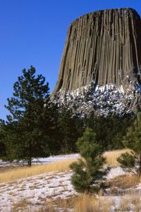 Preview wallpaper devils tower national monument, wyoming, mountain, trees