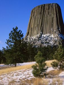 Preview wallpaper devils tower national monument, wyoming, mountain, trees