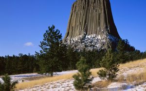 Preview wallpaper devils tower national monument, wyoming, mountain, trees