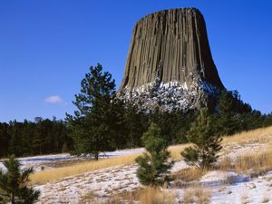 Preview wallpaper devils tower national monument, wyoming, mountain, trees