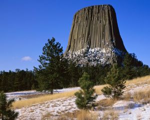 Preview wallpaper devils tower national monument, wyoming, mountain, trees