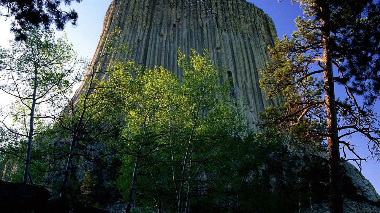 Wallpaper devils tower national monument, wyoming, mountain, trees, height