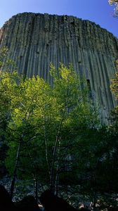 Preview wallpaper devils tower national monument, wyoming, mountain, trees, height