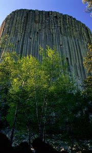 Preview wallpaper devils tower national monument, wyoming, mountain, trees, height