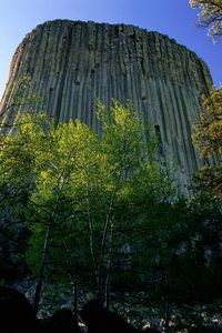 Preview wallpaper devils tower national monument, wyoming, mountain, trees, height