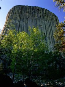 Preview wallpaper devils tower national monument, wyoming, mountain, trees, height