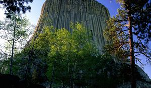 Preview wallpaper devils tower national monument, wyoming, mountain, trees, height