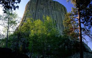 Preview wallpaper devils tower national monument, wyoming, mountain, trees, height