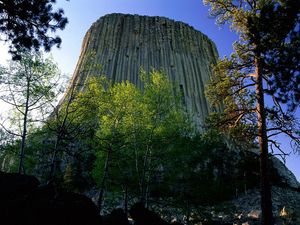 Preview wallpaper devils tower national monument, wyoming, mountain, trees, height