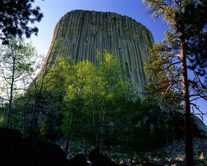 Preview wallpaper devils tower national monument, wyoming, mountain, trees, height