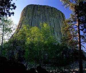 Preview wallpaper devils tower national monument, wyoming, mountain, trees, height