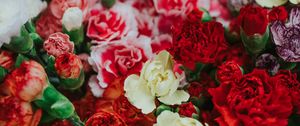 Preview wallpaper dianthus, flowers, bouquet, colorful