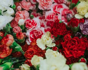 Preview wallpaper dianthus, flowers, bouquet, colorful