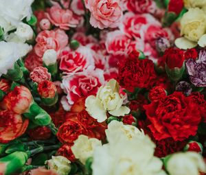 Preview wallpaper dianthus, flowers, bouquet, colorful