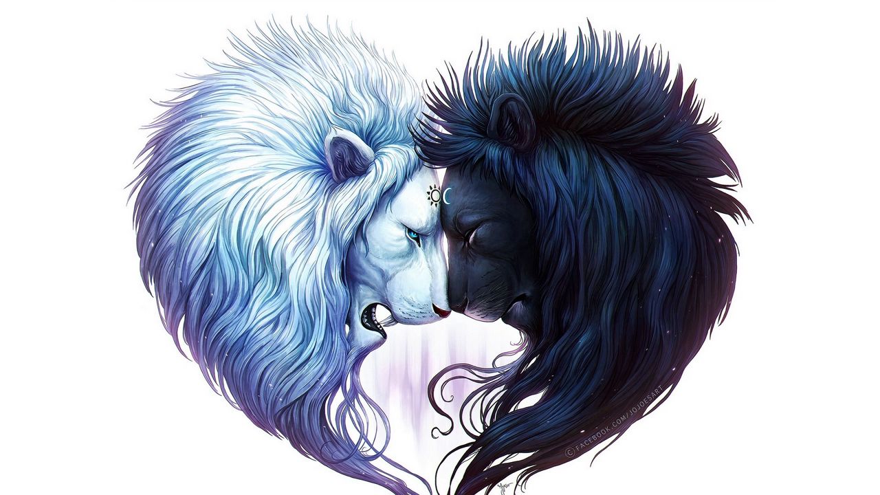 Wallpaper digital art, white lion, black lion