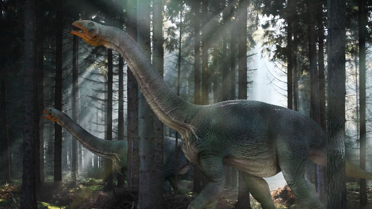 Wallpaper dinosaur, mesozoic era, walk, forest