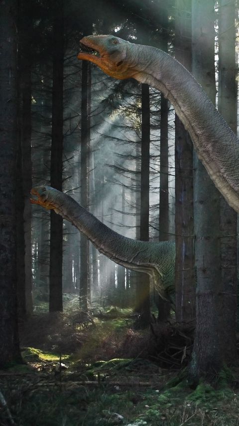 480x854 Wallpaper dinosaur, mesozoic era, walk, forest
