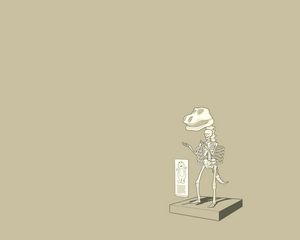Preview wallpaper dinosaur, skeleton, finding, unusual