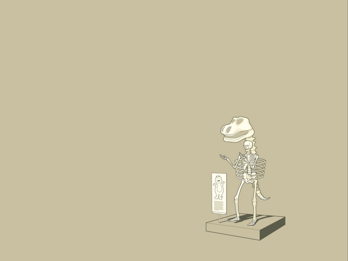 1152x864 Wallpaper dinosaur, skeleton, finding, unusual