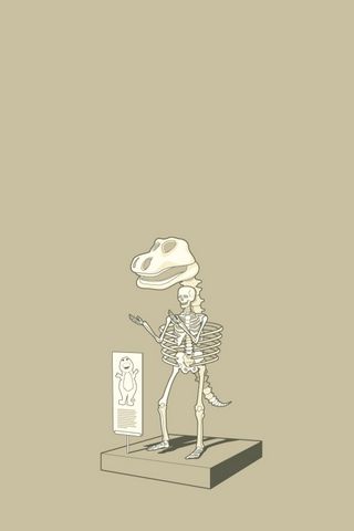 320x480 Wallpaper dinosaur, skeleton, finding, unusual