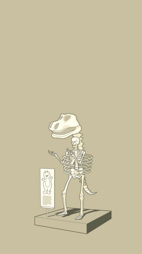 480x854 Wallpaper dinosaur, skeleton, finding, unusual